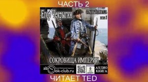 Егор Чекрыгин "Странный приятель" (книга 3) "Сокровища империи" (часть 2)