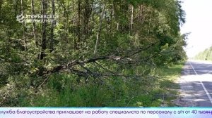 Новый выпуск программы "Егорьевск сегодня" от 25.07.25