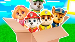 Я ПРИЮТИЛ ВСЕХ ДЕТЕЙ ЩЕНЯЧИЙ ПАТРУЛЬ в МАЙНКРАФТ