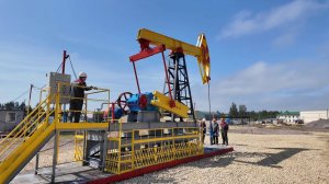 Учебная база Саблино Санкт-Петербургского горного университета