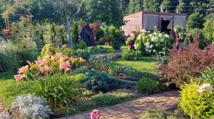 Можжевельники  в моем саду. Польза и красота. Устойчивость и неприхотливость🌲🌞💚#любимаядача