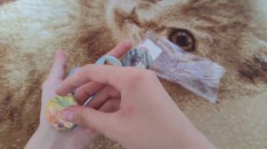 Обзор на подарок от подписчицы. Коты-Воители