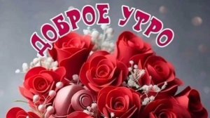 С ДОБРЫМ ВОЛШЕБНЫМ УТРОМ!