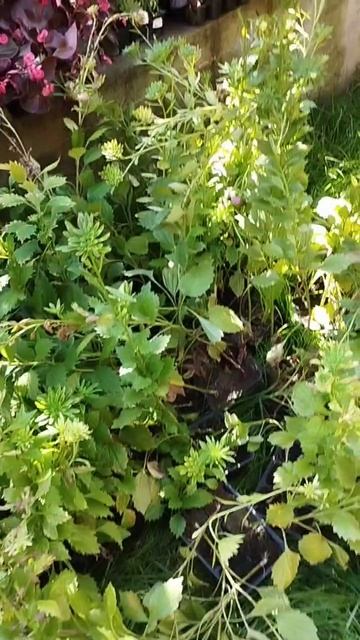 Всем миром - благотворительный проект от Технадзор ИЖС