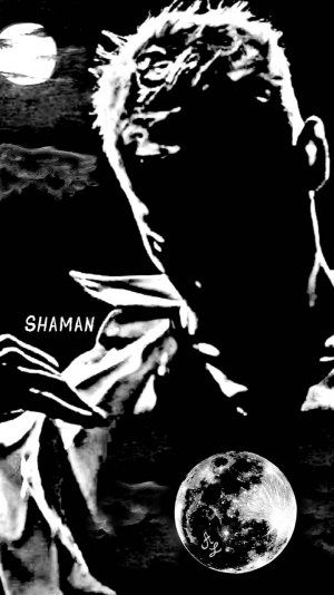 Лунное танго - SHAMAN  #shaman #волгошам