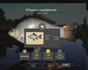 РУССКАЯ РЫБАЛКА 4 РР4 ТРОФЕЙНЫЙ СЕРЕБРЯННЫЙ КАРАСЬ ДЛЯ НОВИЧКОВ КОМАРИНОЕ