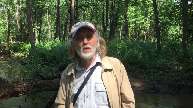 Бобры и люди смотреть онлайн