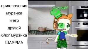 приключения мурзика и его друзей блог мурзика ШАУРМА🐱🌯😋