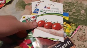 Томатные гибриды недооценила,гномами наигралась.