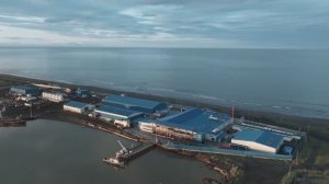 ООО "Дельфин"— путь рыбы от добычи до упаковки