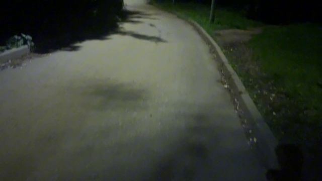 Магия ночных улиц открывает тайны вечернего мегаполиса