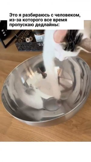 Попался! 😄