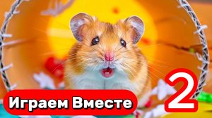 СУПЕР ЛАБИРИНТ С ЛОВУШКАМИ И ИГРУШКАМИ ИЗ МУЛЬТИКОВ ДЛЯ УМНОГО ХОМЯКА 🐹 ВИДЕО ДЛЯ ДЕТЕЙ №2