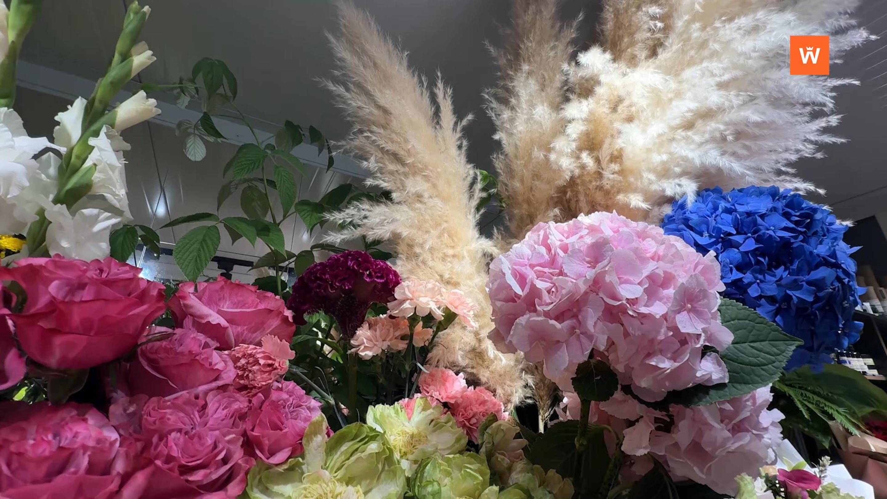 Итоговая программа «Город» от 25 июля 2025 года смотреть онлайн