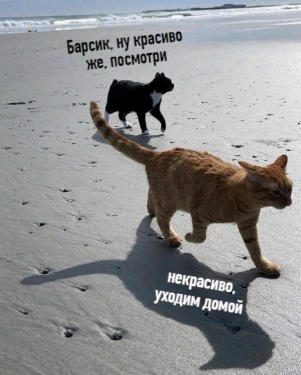 некрасиво уходим домой смотреть онлайн