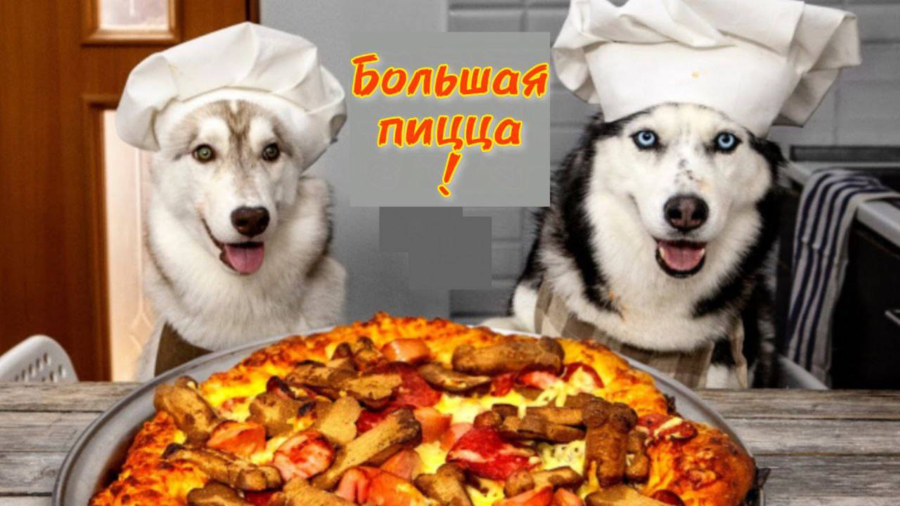 Мои собаки приготовили невероятную пиццу смотреть онлайн