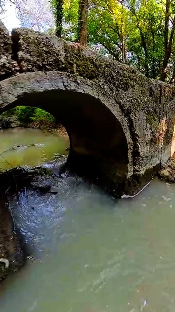 Вечное среди нас смотреть онлайн