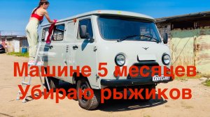Машине 5 месяцев. Убираю рыжики, обработка антикором.