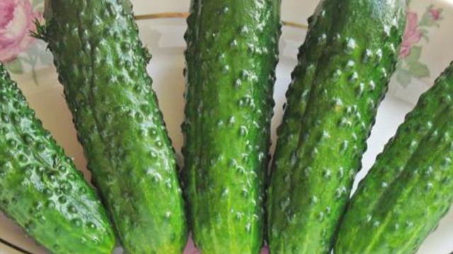 Книга рецептов