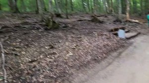 Отпуск 2025. Джиппинг #путешествия #кабардинка #джиппинг