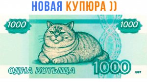 ОДНА КОТЫЩА! ))) Приколы с котами | Мемозг 1638