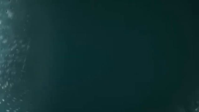 Валера идёт купаться и смотрит вану⛲⛲ смотреть онлайн