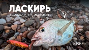Ловлю морского карася (ласкирь) на пилькер + силикон. #рокфишинг рыбалка на черном море.
