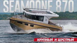 Слишком быстрый и маневренный для своих размеров Seamoone 870. Плюс Зеленый Бонус от верфи.