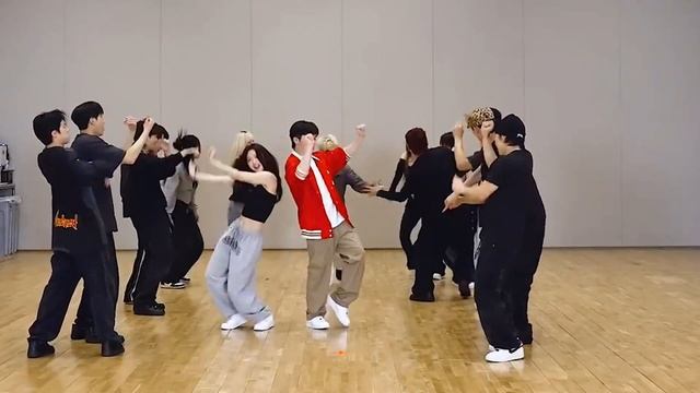 HOSHI X WOOZI (SEVENTEEN) - STUPID IDIOT Dance Practice Mirror смотреть онлайн