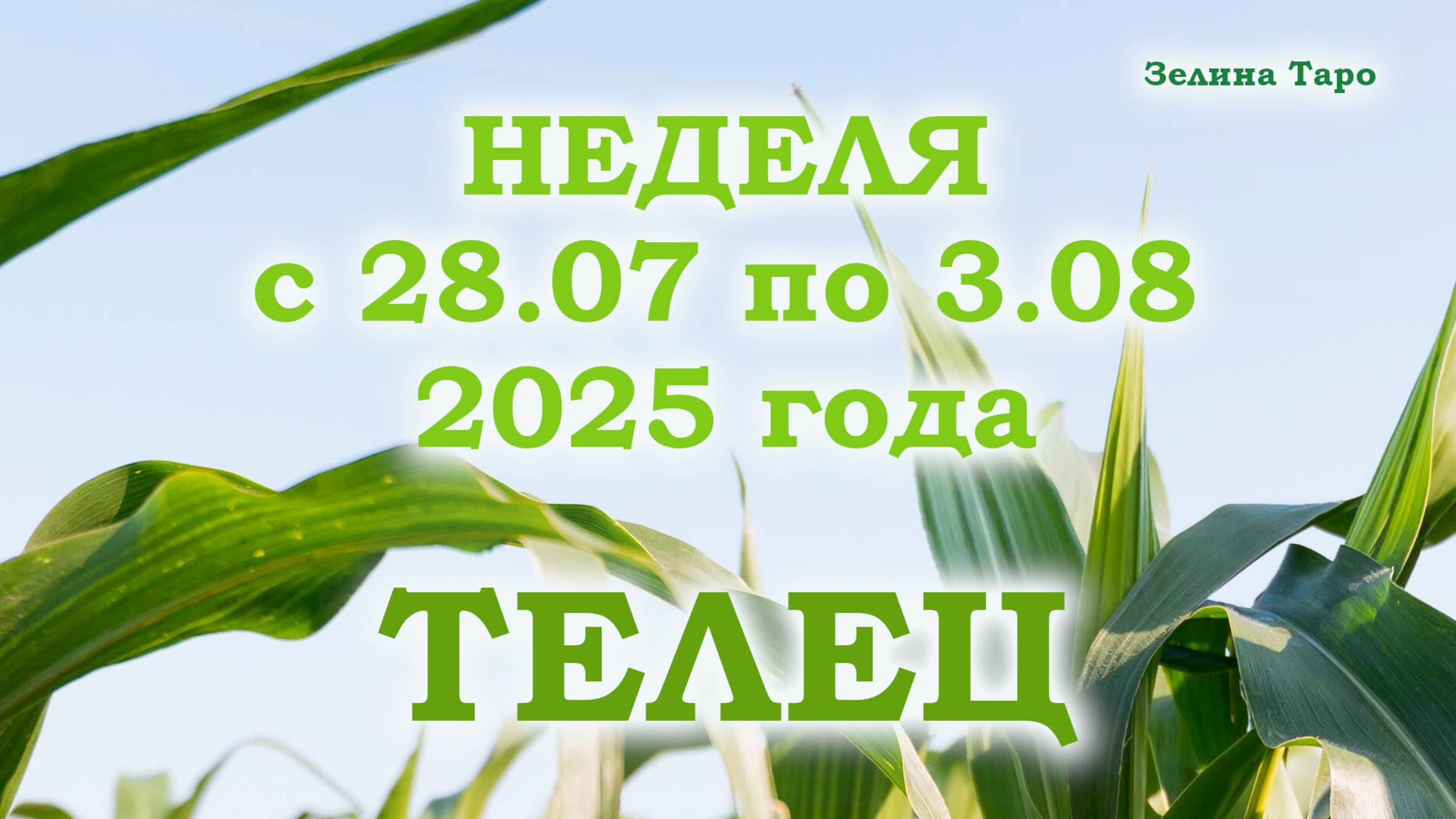 ТЕЛЕЦ | ТАРО прогноз на неделю с 28 июля по 3 августа 2025 года