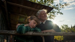 Летний альбом (2024) / The Summer Book / Kesäkirja