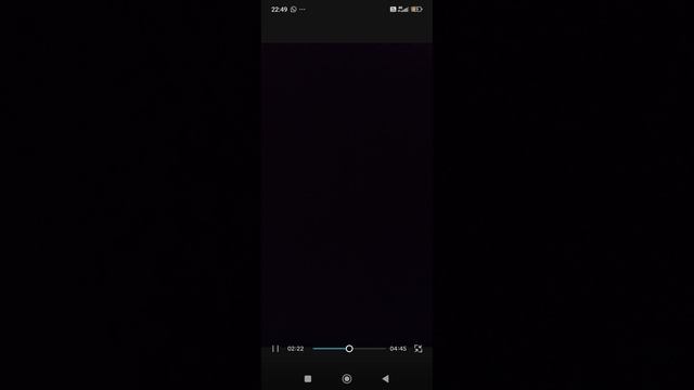 крутые кошки