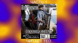 Егор Чекрыгин "Странный приятель" (книга 3) "Сокровища империи" (часть 1)