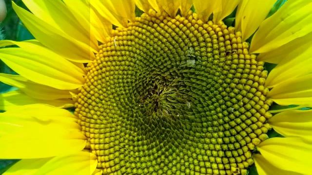 КОМЕДИЯ РОК Ты Любовь найдёшь, найдёшь!!! смотреть онлайн