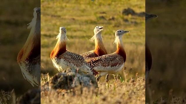 Это интересно-40