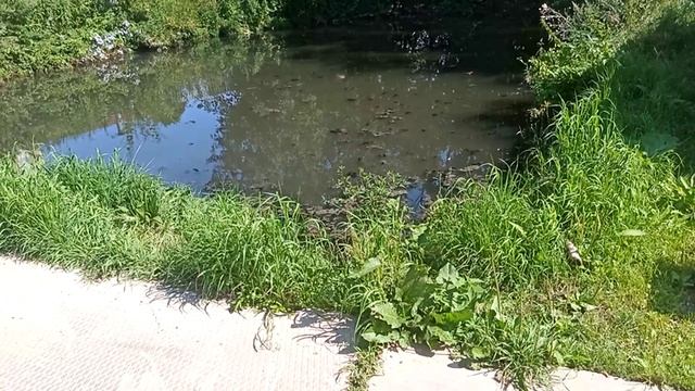 Кто в городе Красногорске зам главы по экологии? По какой причине он до сих пор занимает эту должнос смотреть онлайн