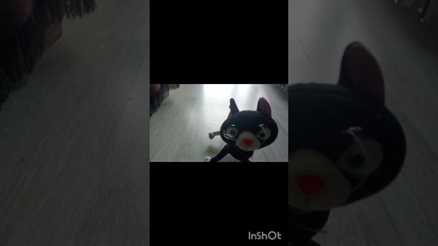 новости кошки котуньи смотреть онлайн