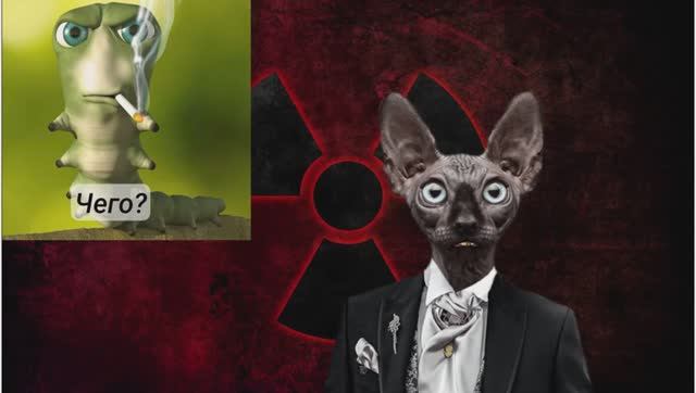 Сводки с фронтОв с Котом Костяном от 25.07.25 смотреть онлайн