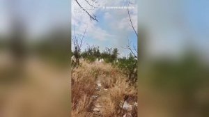 Кадры с передовой от участника СВО из Республики Алтай