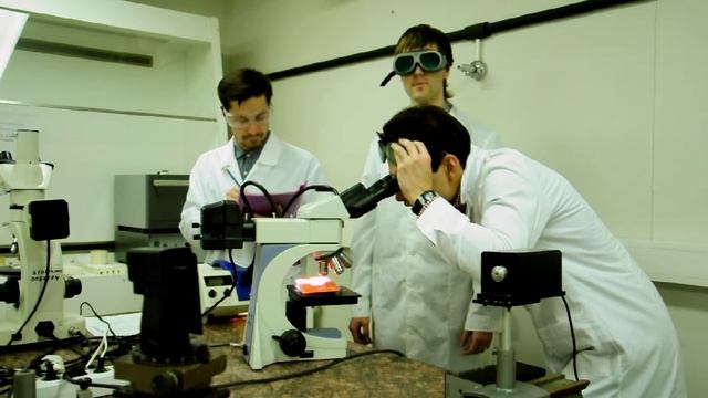 New wallet - научный кошелек смотреть онлайн