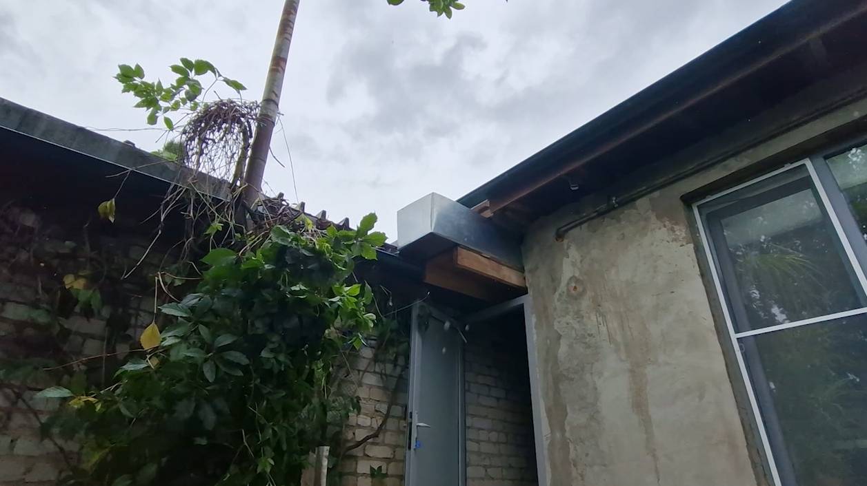 НЕ ОДОБРИЛА его "КОЛХОЗ" и дубай опять ОТКЛАДЫВАЕТСЯ! Худо с помидорами. Секреты бочковых ОГУРЦОВ. смотреть онлайн