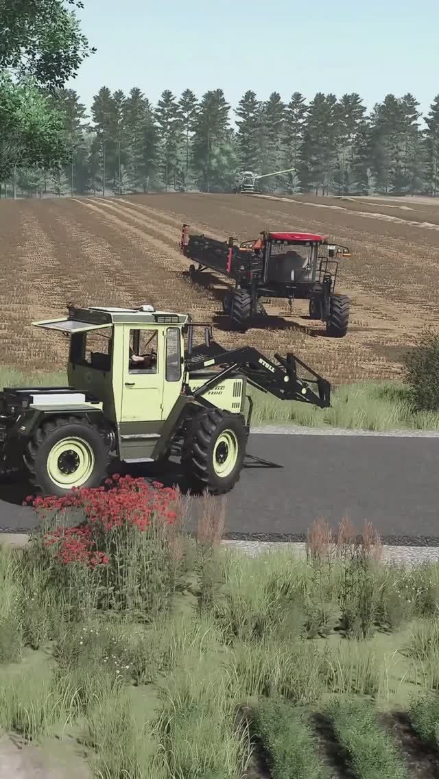 Farming Simulator 25 / Уборка рапса в свал Claas Lexion 8900, MB Trac 1100, MacDon M1240 смотреть онлайн