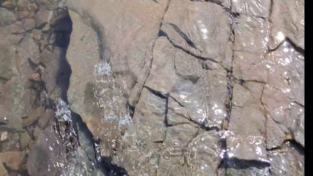 озеро ШИРА..
Жемчужина Южной Сибири — природный водоем с уникальным микроклиматом, полезными грязями