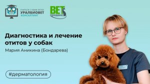 Диагностика и лечение отитов у собак, лектор Мария Аникина (Бондарева)