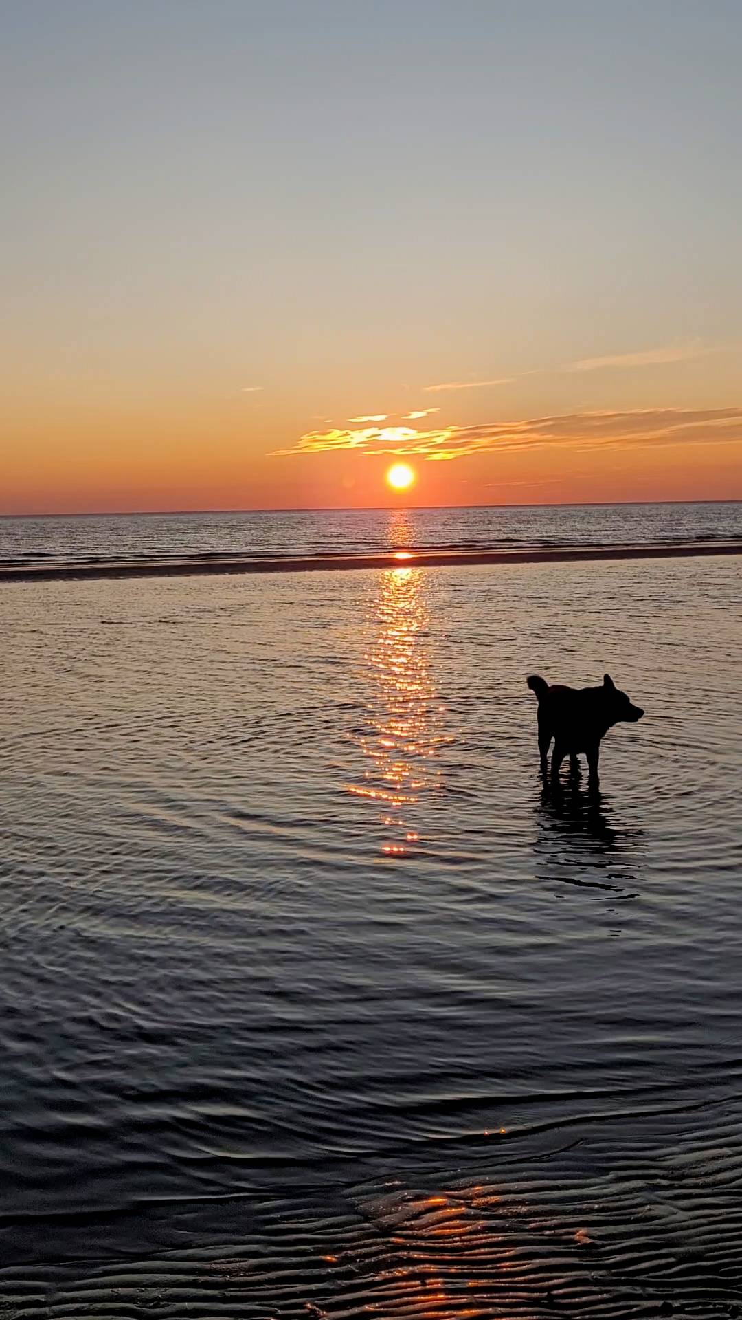 Наши Северные Закаты на Белом море смотреть онлайн