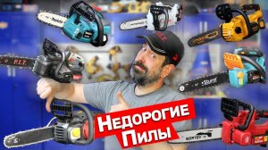 Большой Обзор На Аккумуляторные Пилы Makita PIT INGCO WORTEX ИНТЕРСКОЛ Sturm WORX
