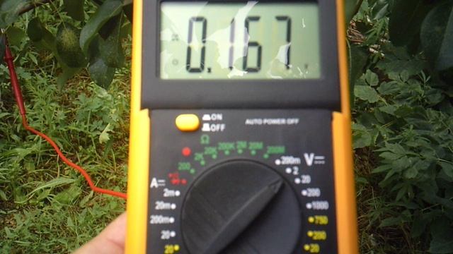 В поисках растительного электричества: измеряю ветку груши