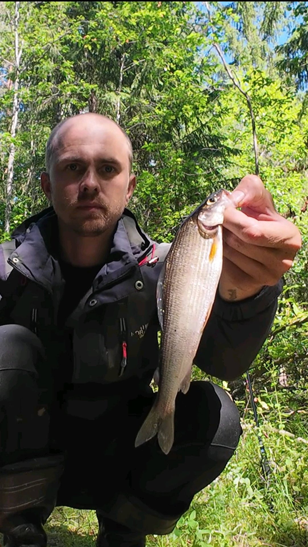 Хариус тянет что есть сил. Рыбалка на поплавок. смотреть онлайн