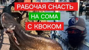СНАСТЬ на СОМА. РАБОЧАЯ и САМАЯ ПРОСТАЯ СНАСТЬ для ловли СОМА С КВОКОМ. Ловля сома.