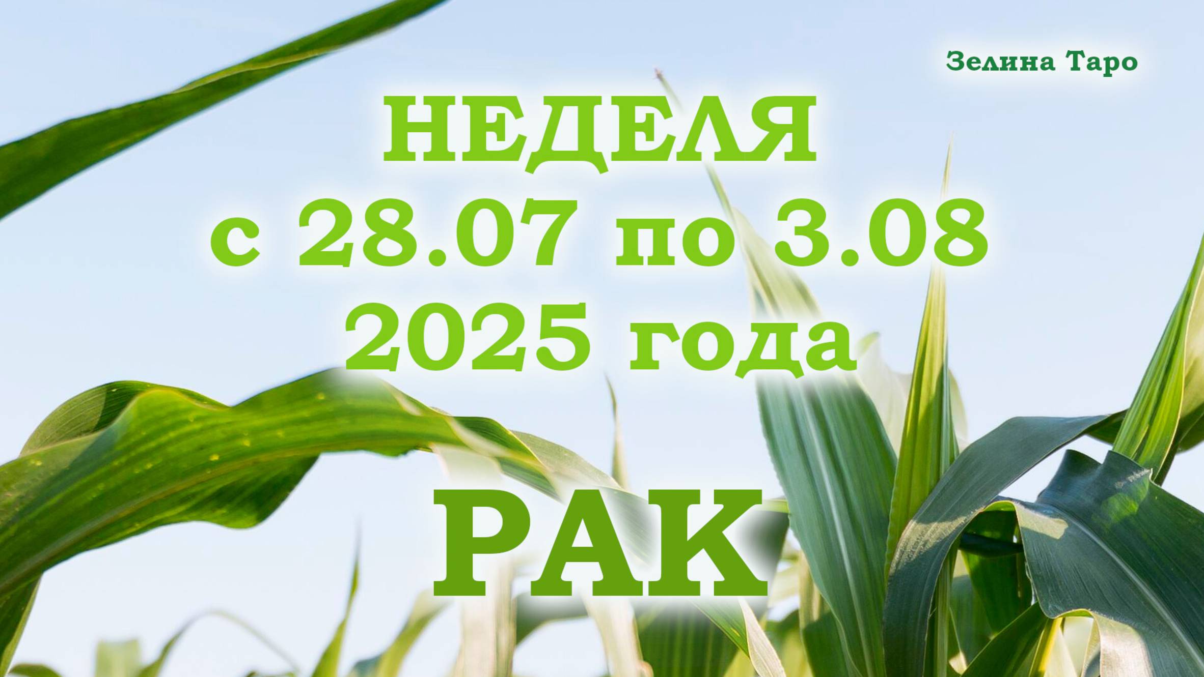 РАК | ТАРО прогноз на неделю с 28 июля по 3 августа 2025 года